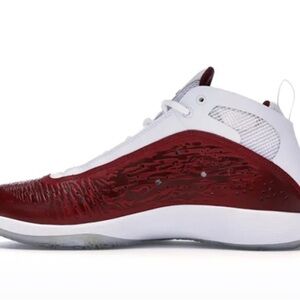 Air Jordan 2011 Team Ted & White Nib